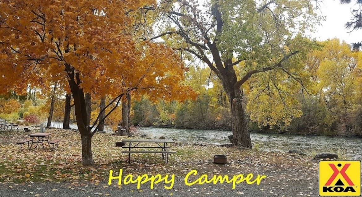 Off-leash dog park at Ellensburg Camp Resort